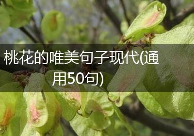 桃花的唯美句子现代(通用50句)