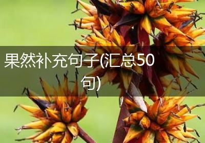 果然补充句子(汇总50句)