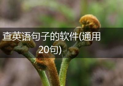 查英语句子的软件(通用20句)
