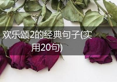 欢乐颂2的经典句子(实用20句)