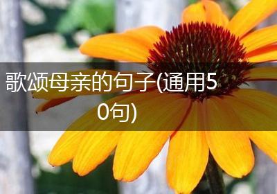 歌颂母亲的句子(通用50句)