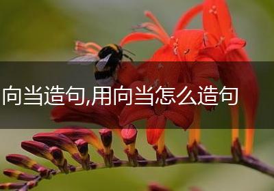 向当造句,用向当怎么造句