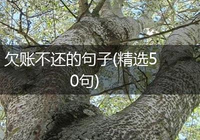 欠账不还的句子(精选50句)