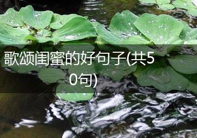 歌颂闺蜜的好句子(共50句)