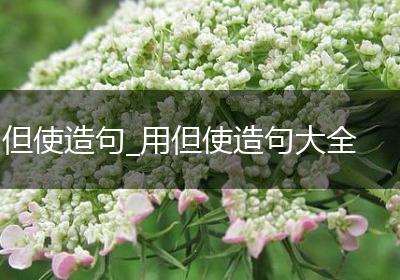 但使造句_用但使造句大全