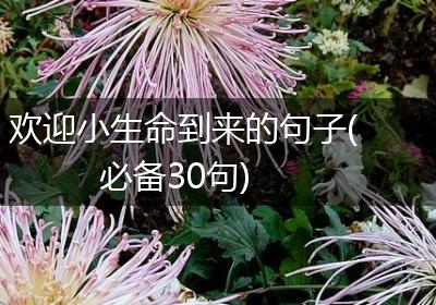 欢迎小生命到来的句子(必备30句)