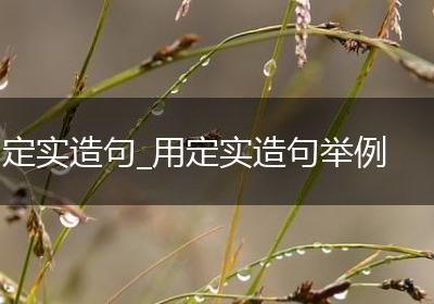 定实造句_用定实造句举例