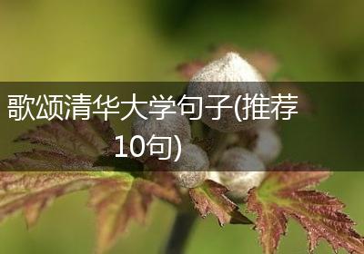 歌颂清华大学句子(推荐10句)