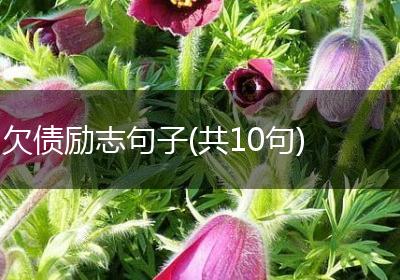 欠债励志句子(共10句)