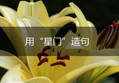 用“星门”造句
