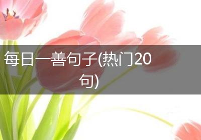 每日一善句子(热门20句)
