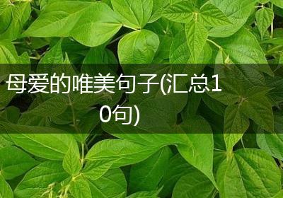 母爱的唯美句子(汇总10句)