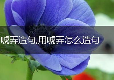 唬弄造句,用唬弄怎么造句