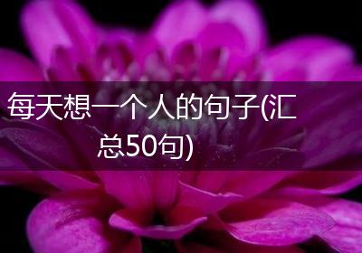 每天想一个人的句子(汇总50句)