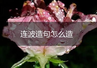 连波造句怎么造