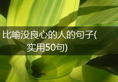 比喻没良心的人的句子(实用50句)