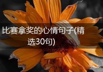 比赛拿奖的心情句子(精选30句)