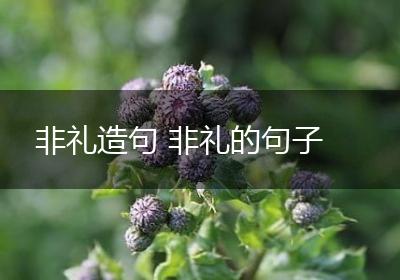 非礼造句 非礼的句子