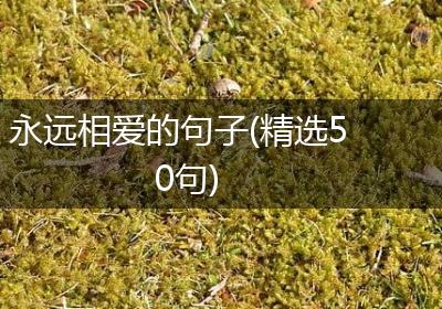永远相爱的句子(精选50句)