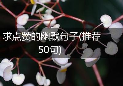 求点赞的幽默句子(推荐50句)