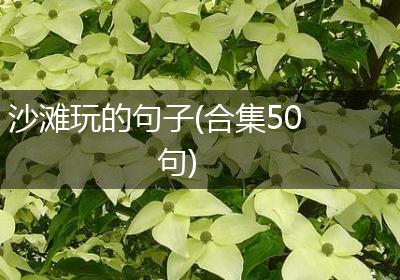 沙滩玩的句子(合集50句)