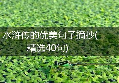 水浒传的优美句子摘抄(精选40句)