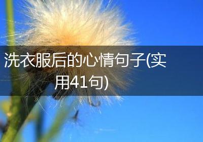 洗衣服后的心情句子(实用41句)
