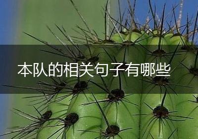 本队的相关句子有哪些