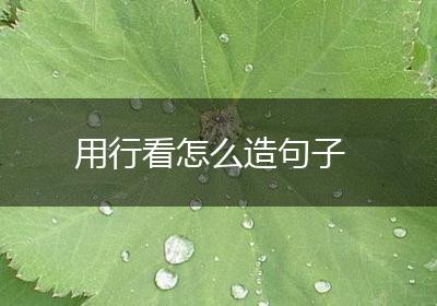 用行看怎么造句子