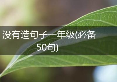 没有造句子一年级(必备50句)