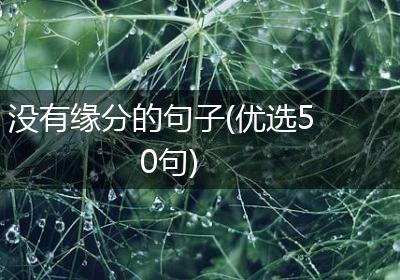 没有缘分的句子(优选50句)