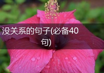 没关系的句子(必备40句)