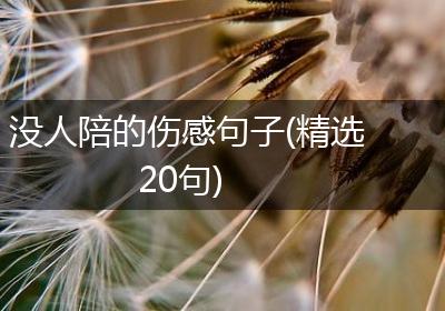 没人陪的伤感句子(精选20句)