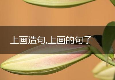 上画造句,上画的句子