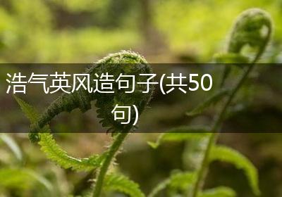 浩气英风造句子(共50句)