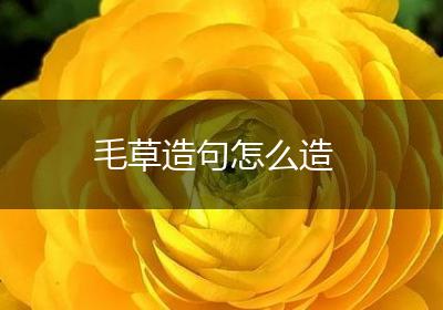 毛草造句怎么造