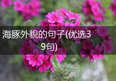 海豚外貌的句子(优选39句)