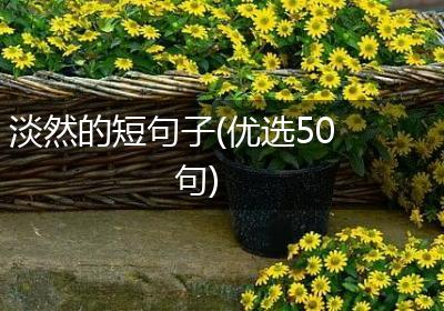 淡然的短句子(优选50句)