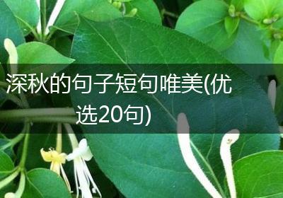 深秋的句子短句唯美(优选20句)
