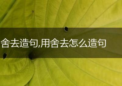 舍去造句,用舍去怎么造句