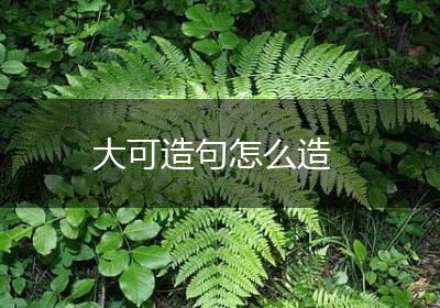 大可造句怎么造