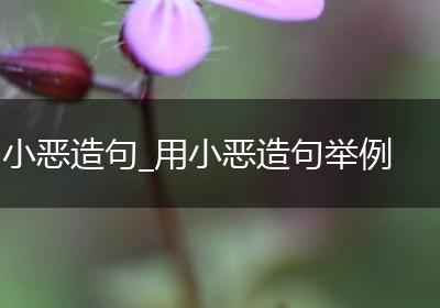 小恶造句_用小恶造句举例
