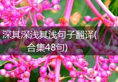 深其深浅其浅句子翻译(合集48句)