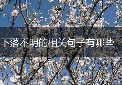下落不明的相关句子有哪些