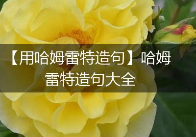 【用哈姆雷特造句】哈姆雷特造句大全
