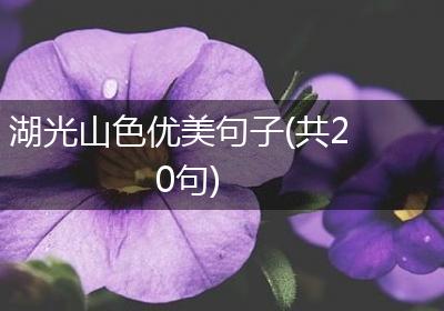 湖光山色优美句子(共20句)