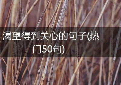 渴望得到关心的句子(热门50句)