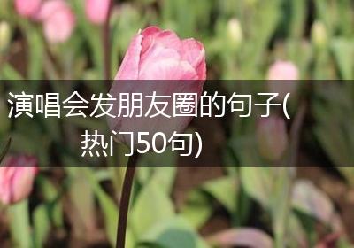 演唱会发朋友圈的句子(热门50句)