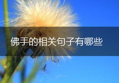 佛手的相关句子有哪些