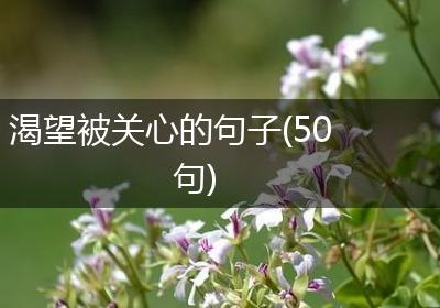 渴望被关心的句子(50句)